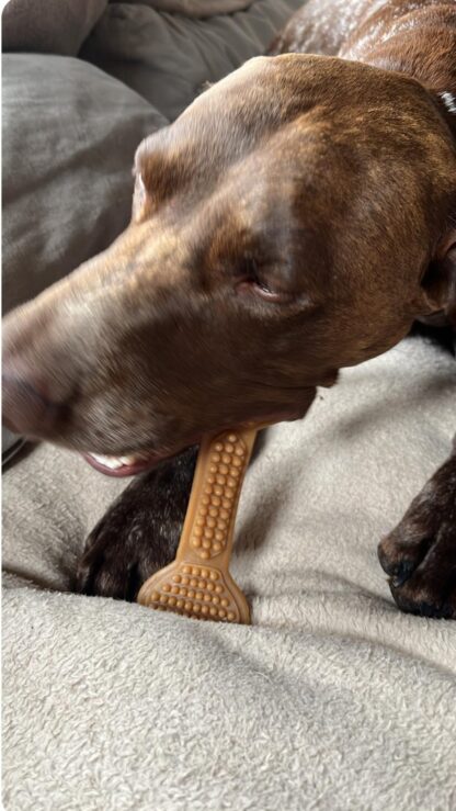 BumpiBone - Peanut Butter & Banana Dental Bone - Image 3
