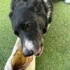 Cow Ear - Image 3
