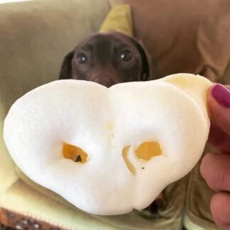 Puffed Pig Snouts (6 pieces)