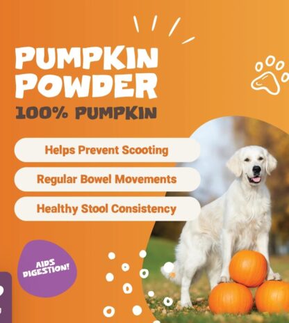 Pumpkin Powder 250g - Image 3
