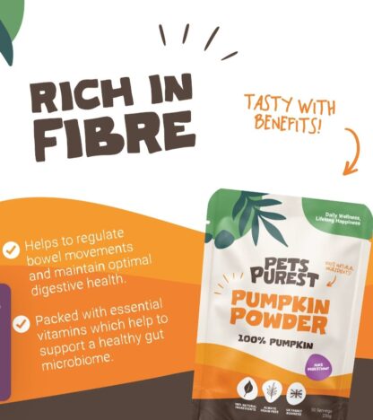 Pumpkin Powder 250g - Image 4