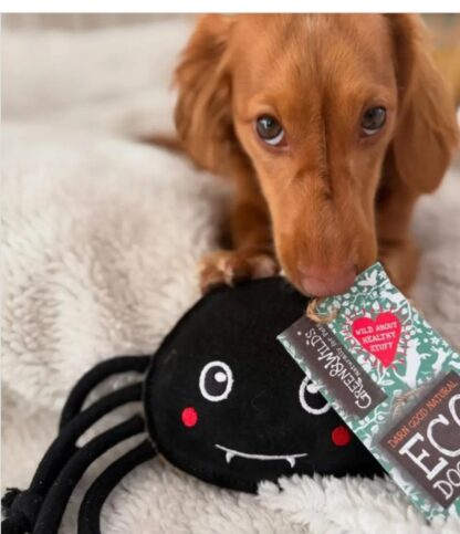 Fangus Eco Toy - Image 7