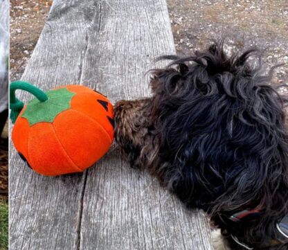 Patch the Pumpkin! Eco Toy - Image 6