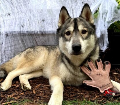 The Hand! Eco Toy - Image 6
