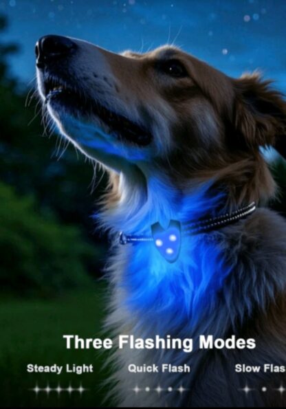 Wrap around Nifht Time LED Blinker - RED - Image 2