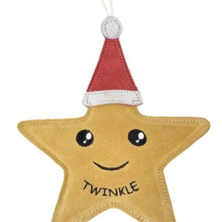 Twinkle Star Eco Toy