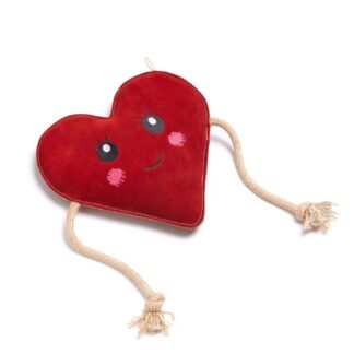 Truly BIG LOVE Eco Toy