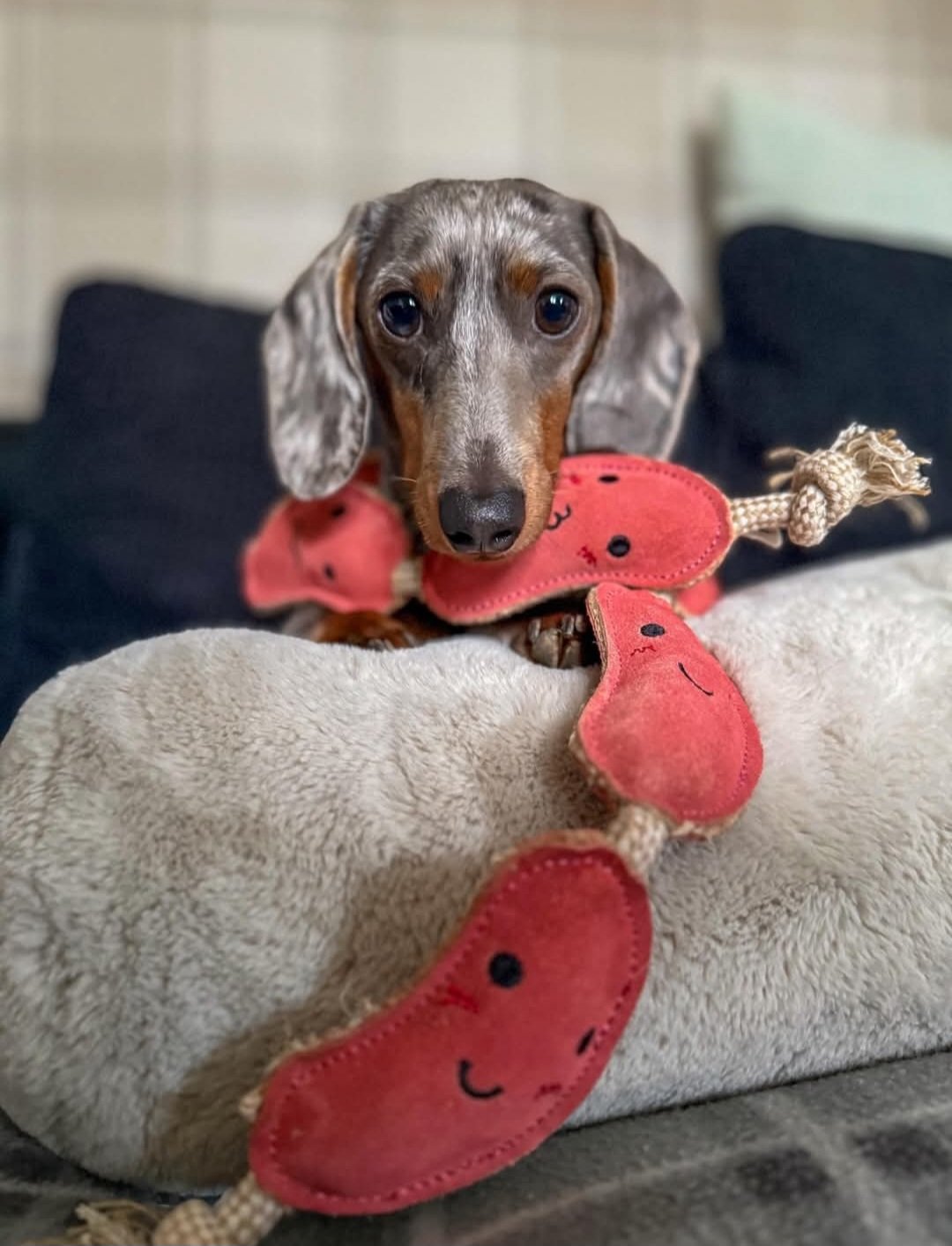 The Sizzle Sisters Eco Toy - Image 5