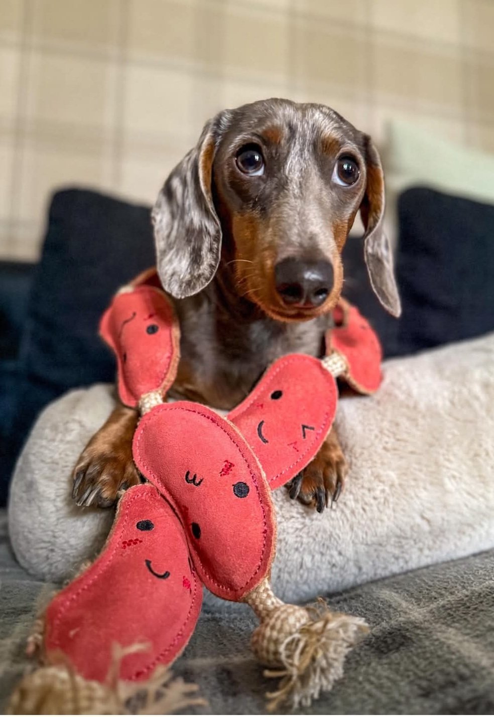 The Sizzle Sisters Eco Toy - Image 6